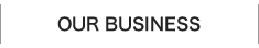 OUR BUSINESS